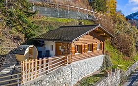 Gemuetliches Chalet Mit Privater Sauna Und Schoener Aussicht